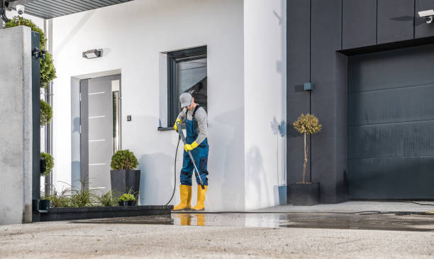 Professional Pressure Washing Services in Livingston, AL